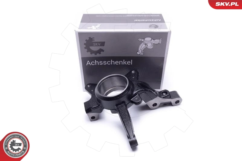 Steering Knuckle, wheel suspension